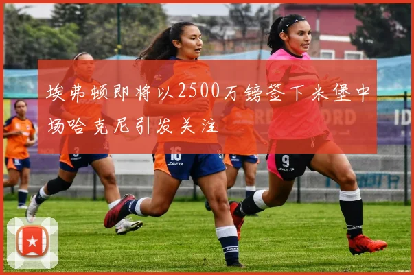 埃弗顿即将以2500万镑签下米堡中场哈克尼引发关注